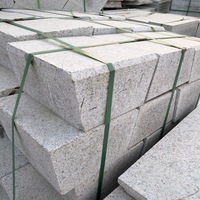 Dalles de granit naturel pour extérieur, surface flammée, design moderne, dalles de pavage durables pour façade de bâtiment