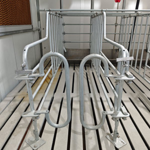 <span class=keywords><strong>Lit</strong></span> d'accouchement pour porcs à conception sécurisée et efficace, cage <span class=keywords><strong>de</strong></span> maternité pour porcelets, installation pour élevage porcin destinée à <span class=keywords><strong>la</strong></span> modernisation <span class=keywords><strong>des</strong></span> exploitations - Product Image 6