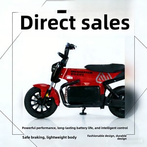 Motocicleta Eléctrica de Dos Ruedas de Alta Potencia, 1200W, Carga de 150 kg, Alcance de 40-60 km, Uso Doméstico para Transportar Niños - Product Image 2