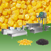 Machine de lavage et de séchage de riz en acier inoxydable/nettoyeur de graines de grain/machine de nettoyage de grain de millet