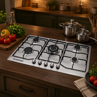 Cuisinière à gaz 5 brûleurs en acier inoxydable, vente directe d'usine, promotion exceptionnelle