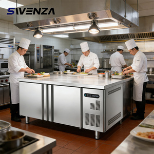 Refrigerador Bajo Mostrador SWENZA, Confiable y Económico, Producto Más Vendido, Refrigerador Bajo Mostrador para Restaurante - Product Image 1