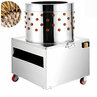 Petit plumeur de poulet de ferme-Option manuelle et abordable