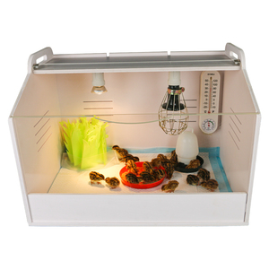 Kích Thước Trung Bình Giống Hộp Brooder Cho Bé Gia Cầm Chim - Product Image 1