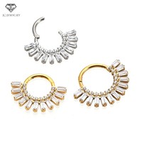 Offre Spéciale titane corps Piercing bijoux articulé Segment anneau Asscher coupe nez anneau hélice boucle d'oreille Zircon ensemble pour les mariages