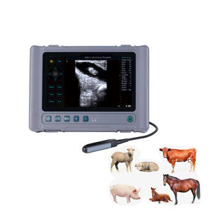 Escáner <span class=keywords><strong>de</strong></span> ultrasonido veterinario <span class=keywords><strong>de</strong></span> mano <span class=keywords><strong>de</strong></span> <span class=keywords><strong>precio</strong></span> competitivo <span class=keywords><strong>para</strong></span> <span class=keywords><strong>perros</strong></span> <span class=keywords><strong>para</strong></span> aplicaciones <span class=keywords><strong>de</strong></span> animales grandes - Product Image 1