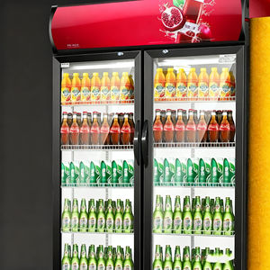 Congelador vertical eléctrico, refrigerador de puerta simple/doble, gabinete de cerveza comercial, mantenimiento fresco, pantalla refrigerada, vidrio de baja emisividad - Product Image 5
