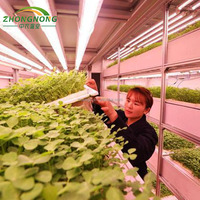 ZN 40HQ Grand Système Hydroponique Intelligent de Location Agricole, Serres Agricoles Multi-Span à Structure en Acier et Toit Triangulaire Super