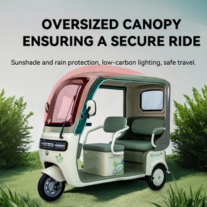 Triciclo Eléctrico con Techo, Ideal para <span class=keywords><strong>Adultos</strong></span>, Vehículo de Transporte Multifuncional de Tres Ruedas - Product Image 2