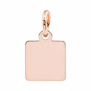 कस्टम लेजर उत्कीर्ण लोगो वर्ग धातु के गहने टैग थोक - Product Image 4