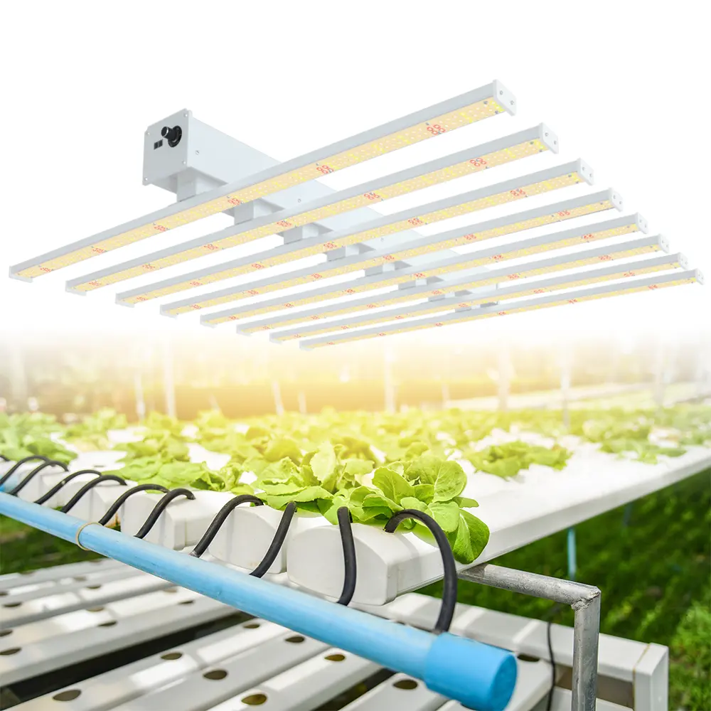 온실 성장 조명 Led 드래곤 과일 나무 800 와트 Uv Ir 바 컨트롤러 Dimmable 알루미늄 라이트 바 사용자 정의 식물 램프