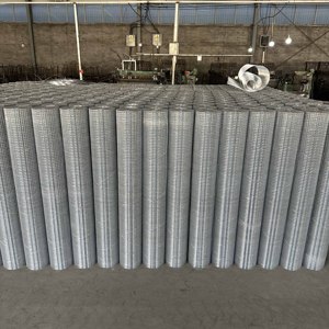 Nhà máy giá tốt sắt mạ kẽm hàn dây lưới CuộN tại Trung Quốc - Product Image 3