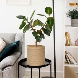 Panier de plante en jute tissé panier rond en <span class=keywords><strong>osier</strong></span> jardinière pour couvercle de <span class=keywords><strong>Pot</strong></span> de plante <span class=keywords><strong>petit</strong></span> bac de rangement Boho panier rustique pour la décoration intérieure - Product Image 4