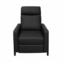 Fauteuil inclinable rembourré pour canapé simple moderne avec coussin d'assise épais et dossier Fauteuil d'appoint en bois gris pour le salon