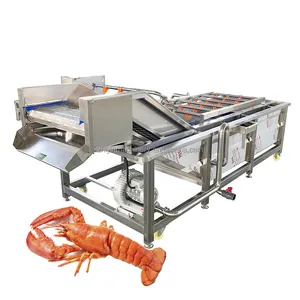 Équipements de nettoyage et de traitement de crevettes sud-américaines Fruits de mer congelés Décongélation Tamaris Machines de nettoyage à bulles