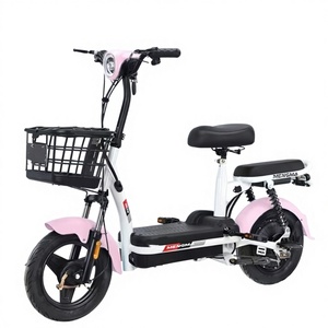 Bicicleta Eléctrica de 2 Ruedas para Adultos, Cuadro de Acero, Motor sin Escobillas de 500W 48V, Pantalla LCD, Ligera, 3 Velocidades, Batería de Plomo-Ácido, 50km de Autonomía - Product Image 1