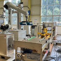 Robot Arm Industri 6 Axis untuk Transfer Material, Pemuatan, Pembongkaran, dan Palletisasi