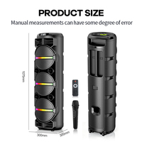 Sistema de Altavoces Subwoofer Inalámbricos Profesionales Dobles de 10 Pulgadas con Micrófono Incorporado y Luces LED RGB para Escenario, Karaoke y DJ