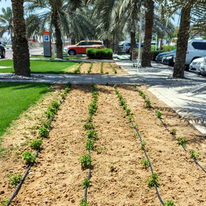 16MM Plástico Automático Gotejamento Irrigação Tubo Greenhouse Farm <span class=keywords><strong>Soaker</strong></span> Emissor 10-40CM Agrícola Rega Mangueira - Product Image 6