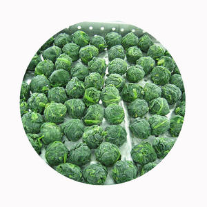 Espinafre congelado IQF-atacado a granel | Fornecedor B2B confiável | Preço FOB competitivo | Sistema de rastreabilidade total - Product Image 1