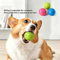 Jouet à mâcher interactif classique et écologique en TPR, 6 cm de diamètre, petite balle élastique à mâcher pour chien
