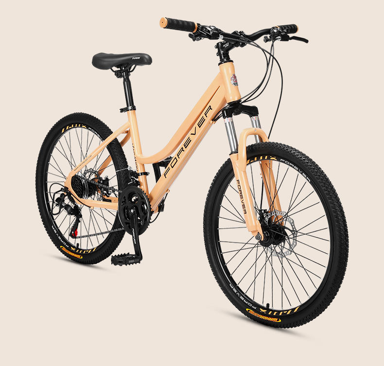 Cheap forever bike brand Outlet