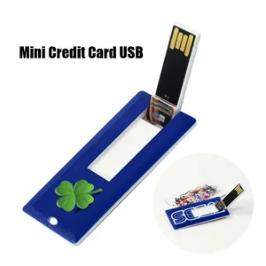 Mini carte d'affaires USB 2.0 impression couleur cadeau populaire publicité 8 Go clé USB en plastique 16 Go carte de crédit clé USB
