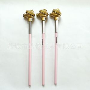 Salt Inscription Thermocouple WRP-130 Type S R B Platinum Rhodium High Temperature Resistance 0-1800 Celsius - Product Image 2