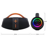 Haut-parleur Bluetooth portable sans fil pour intérieur et extérieur, batterie 3600 mAh avec lumière RVB