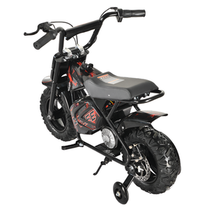 Moteur à balais 250DH 500W de bonne qualité, batterie au plomb-acide 36V 12Ah, moteur de piste 500W/800W/1000W, batterie 36V12AH L - Product Image 2