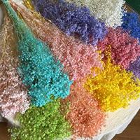 Fleurs de broom bloom préservées de haute qualité en gros, 60 cm, pour la décoration de la maison, de mariages, de la fête des mères et de la Saint-Valentin