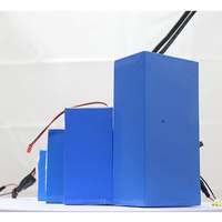 Batterie LiFePO4 à semi-conducteurs haute puissance 30Ah 40Ah avec chargeur 10A pour vélo électrique 5000W 8000W