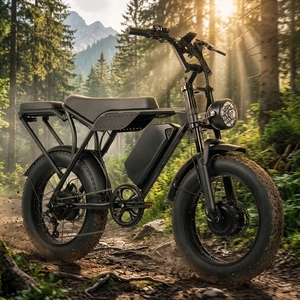 Lokaler US-Lagerbestand: Wins T8 Elektro-Fatbike mit Scheibenbremsen, Mountainbike, Langstrecken-E-Bike - Product Image 1