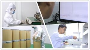 식품 보충제 100000IU/g 카스 67-97-0 콜레 칼시 페롤 비타민 <span class=keywords><strong>D3</strong></span> 분말 - Product Image 4