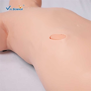 Simulador de entrenamiento de PVC De ciencia médica avanzada modelo de entrenamiento de enfermera para maniquí de punción de médula ósea - Product Image 2