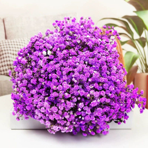 Multi Cores Flores Grinaldas Respiração Natural do Bebê Preservada Flores e Plantas para Long-Lasting Home Decor Arranjos do casamento - Product Image 5