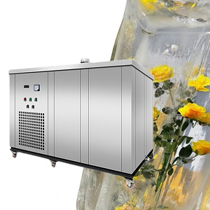 เครื่องทำน้ำแข็ง<span class=keywords><strong>มือ</strong></span>สองปรับสภาพใหม่ ราคาประหยัด ชุดเริ่มต้นสำหรับธุรกิจใหม่ในซิมบับเว - Product Image 1