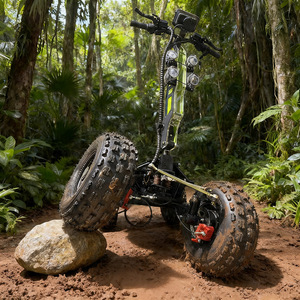 สกู๊ตเตอร์ EU 4WD มอเตอร์ 20000W ความเร็ว 65 กม./ชม. ระยะทาง 80 กม. รับน้ำหนัก 300 กก. โครงอะลูมิเนียม พับได้ ระบบกันสะเทือนเต็มรูปแบบ ไฮดรอลิก - Product Image 2