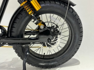 Bicicleta Eléctrica de Neumáticos Anchos de 20 Pulgadas con Batería de Litio de Gran Capacidad de 72 V, 7 Velocidades, Personalizable, de Alta Potencia, Nova con Doble Suspensión - Product Image 3