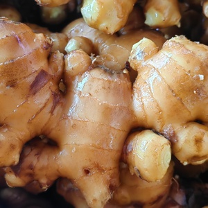 Novo Gengibre Seco Fresco por Atacado de Fornecedores do Mercado Chinês de Raízes de Gengibre Fresco - Product Image 6