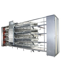 Équipement avicole automatique pour 40 000 oiseaux, cages d'alimentation pour l'élevage de poulets, système de batterie de cages en H pour poules pondeuses