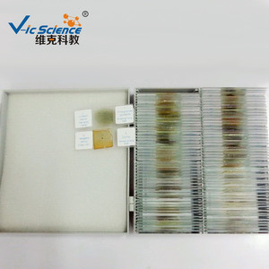 Fournisseur direct d'usine de lamelles de microscope pour la recherche géologique et de disques de ponçage pour roches ; 100 types de roches en un seul ensemble. - Product Image 2