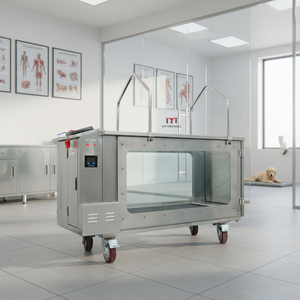 Machine d'hydrothérapie pour chien en acier inoxydable MT MEDICAL, matériel d'entraînement pour animaux de compagnie, machine de rééducation thérapeutique pour chiens, tapis roulant aquatique - Product Image 1