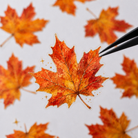 Autocollants personnalisés découpés à la forme, transparents, pour l'automne, haute définition, imperméables et résistants aux rayures, pour la décoration d'automne et l'emballage cadeau