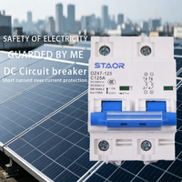 Interruptor Automático Miniatura (MCB) DC 1000V 125A DZ47-125 10kA Tipo C PA66 para Sistemas Solares Fotovoltaicos y Almacenamiento de Baterías, Montaje en Riel DIN, CE