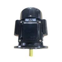 Moteur asynchrone triphasé YL-801-4 0,55 kW 0,75 CV B35 1400 tr/min 50 Hz, moteur AC à carter en fonte pour l'automatisation industrielle 12