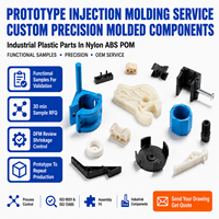 Servicio de Moldeo por Inyección de Prototipos, Componentes Moldeados a Medida de Precisión, Piezas Industriales de Plástico, Nylon, ABS, POM de China