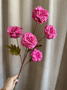 <span class=keywords><strong>Precio</strong></span> de fábrica flor artificial al por mayor Ranunculus peonía para la decoración de la boda - Product Image 6