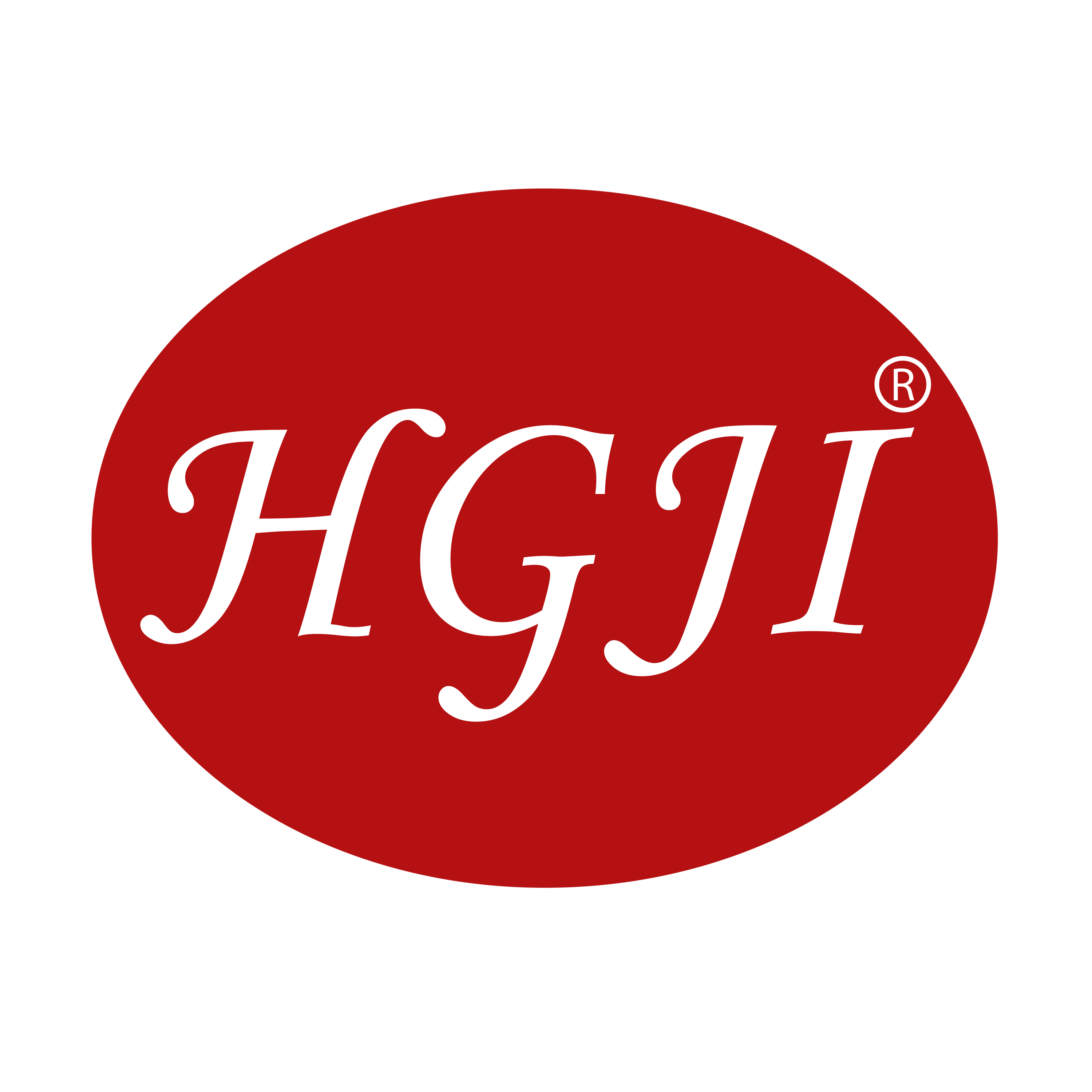Shenzhen Hengji Electronics Co., Ltd.