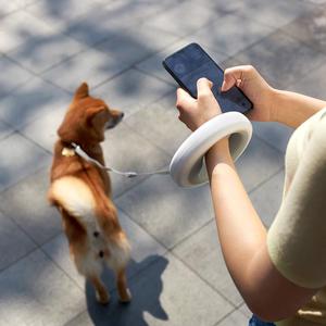 مقود كلب ذكي مقود مقود للكلاب مطور ضد الصدمات مصباح LED قابل للسحق UFO - Product Image 3